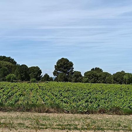 Maison Magnolia Marcorignan エクステリア 写真