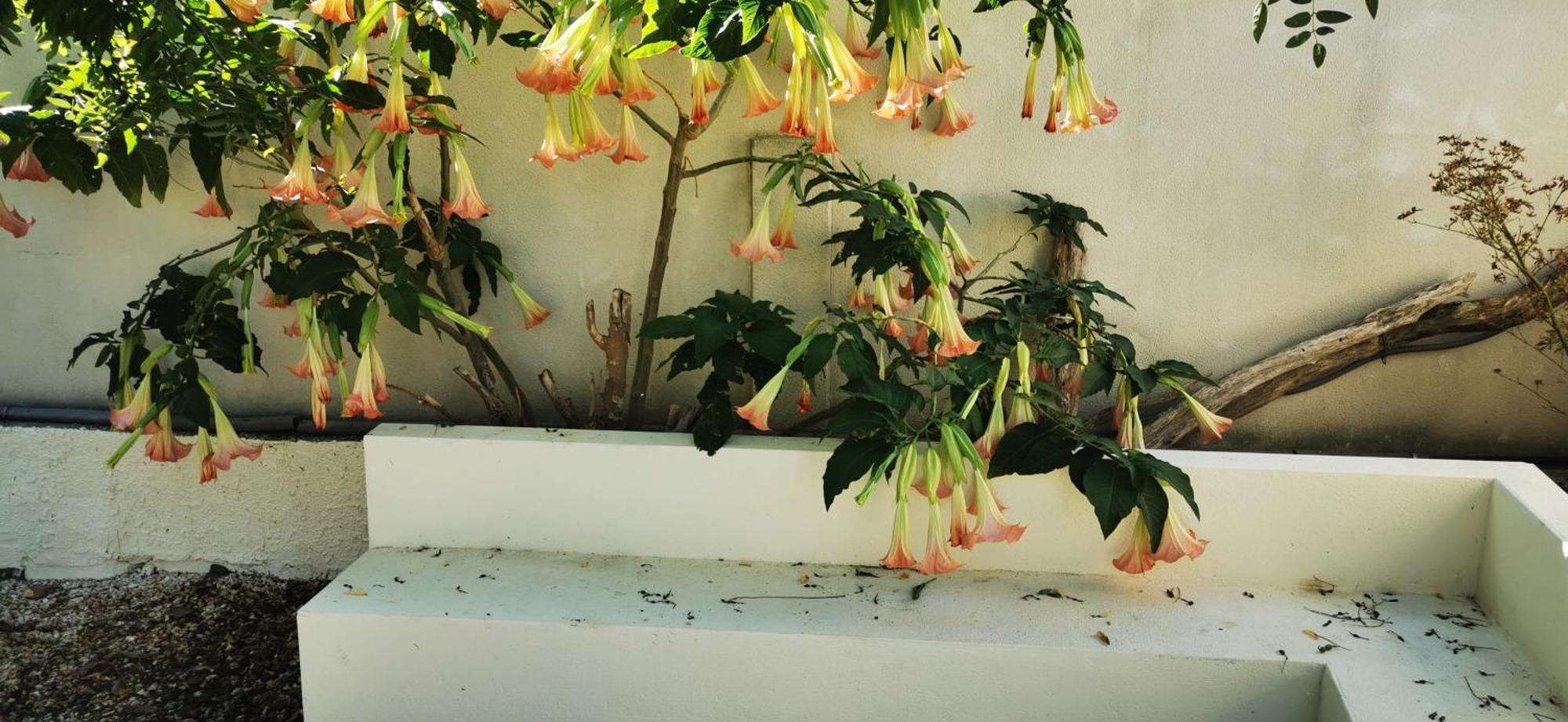 Maison Magnolia Marcorignan エクステリア 写真
