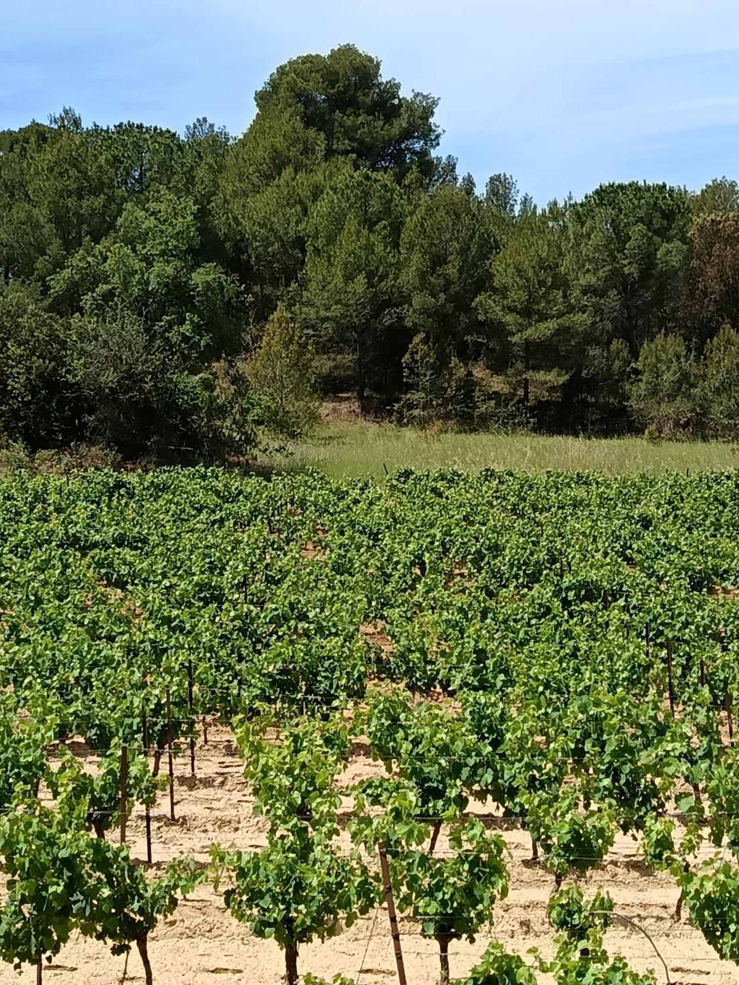 Maison Magnolia Marcorignan エクステリア 写真
